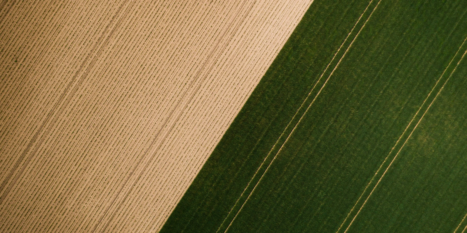 Comment Réussir sa Licence HAA (Histoire de l'Art et Archéologie)