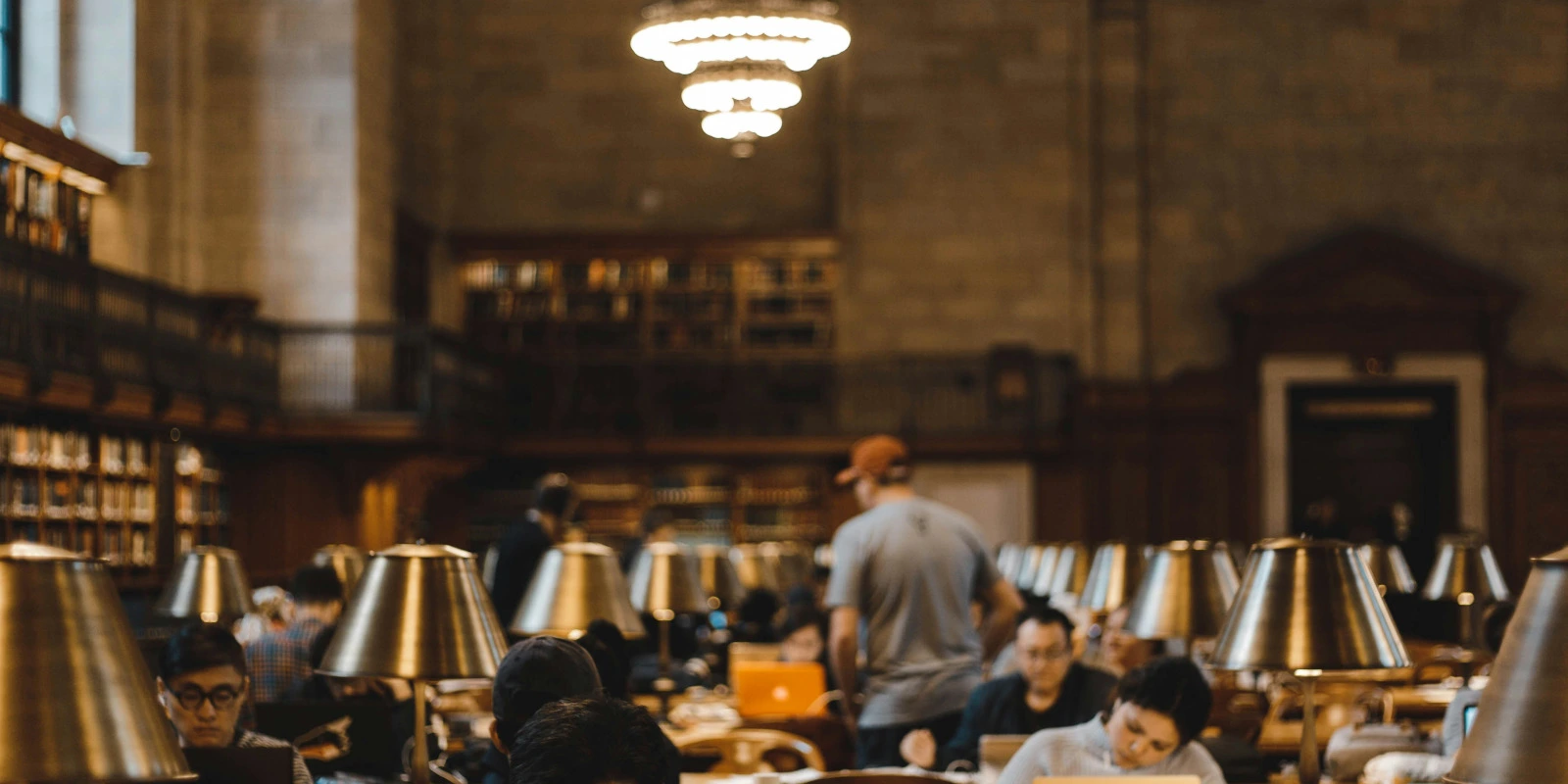 Comparaison des Licences Histoire de l'Art et Archéologie en France