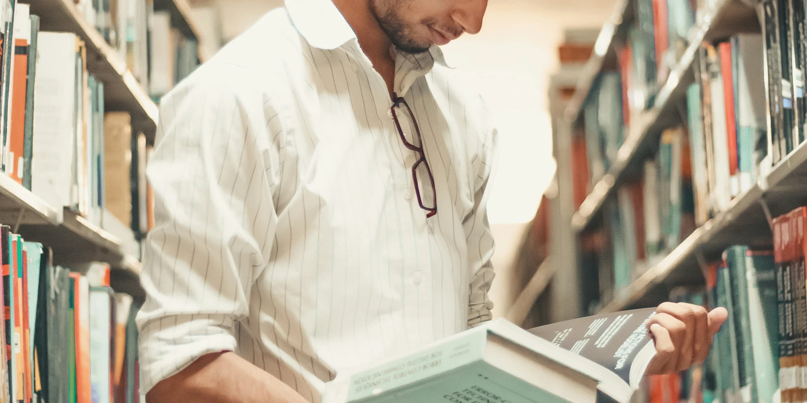 Licence Archéologie à Bordeaux Montaigne : Avis et Témoignages