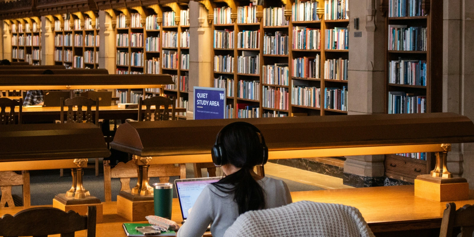 Licence Archéologie : Comment Bien Choisir Son Université?