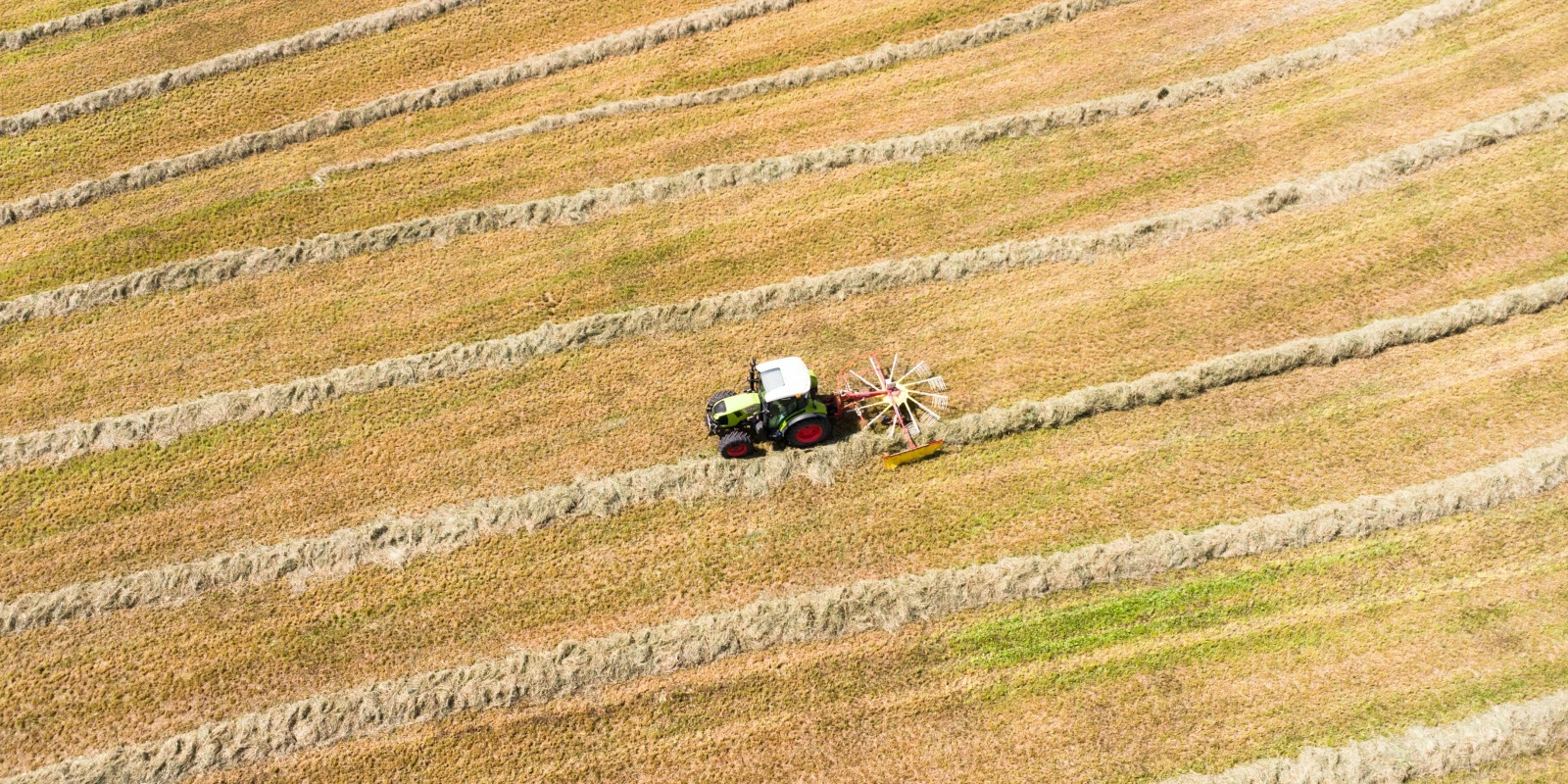 Licence HAA (Histoire de l'Art et Archéologie) : Comment S'inscrire? Licence HAA (Histoire de l'Art et Archéologie) : Comment S'inscrire?