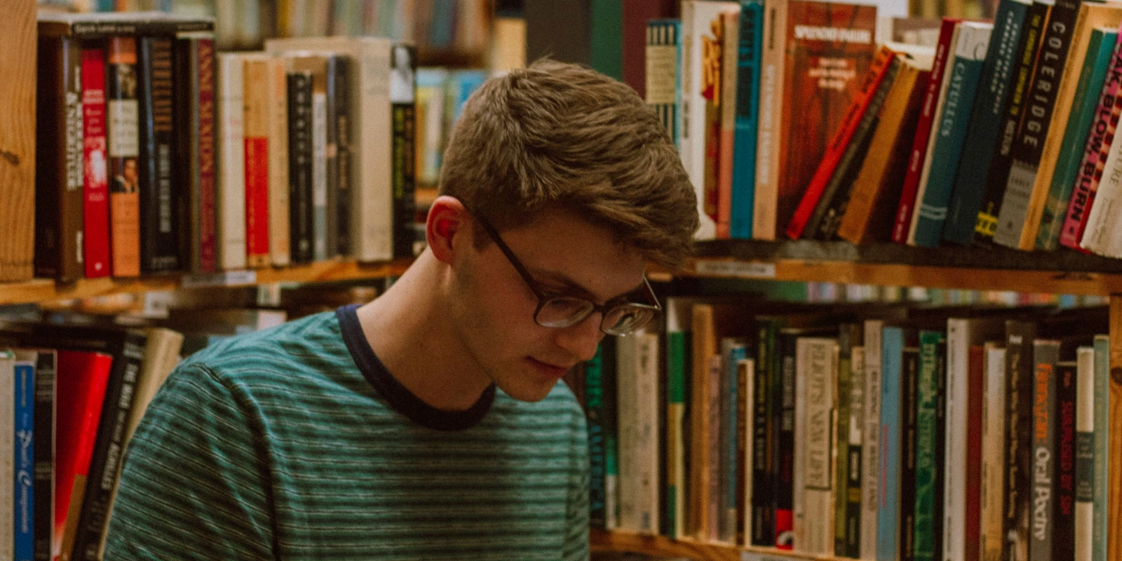 Pourquoi Opter pour une Licence Archéologie à Strasbourg?