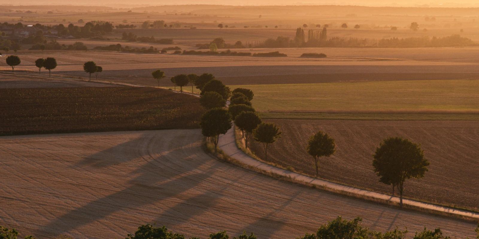 Quels Débouchés Après une Licence Archéologie?