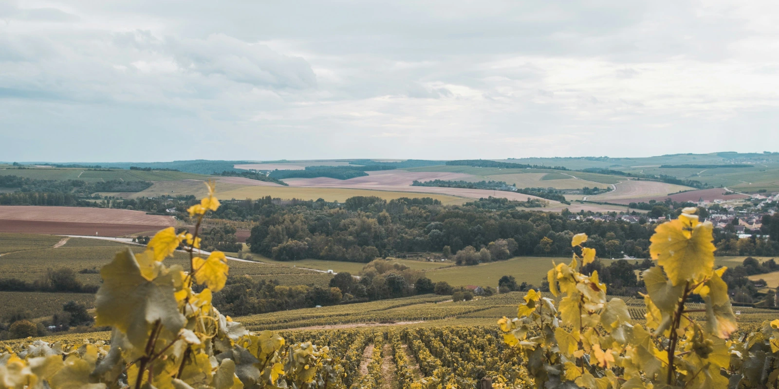 Techniques de Conservation du Patrimoine Archéologique