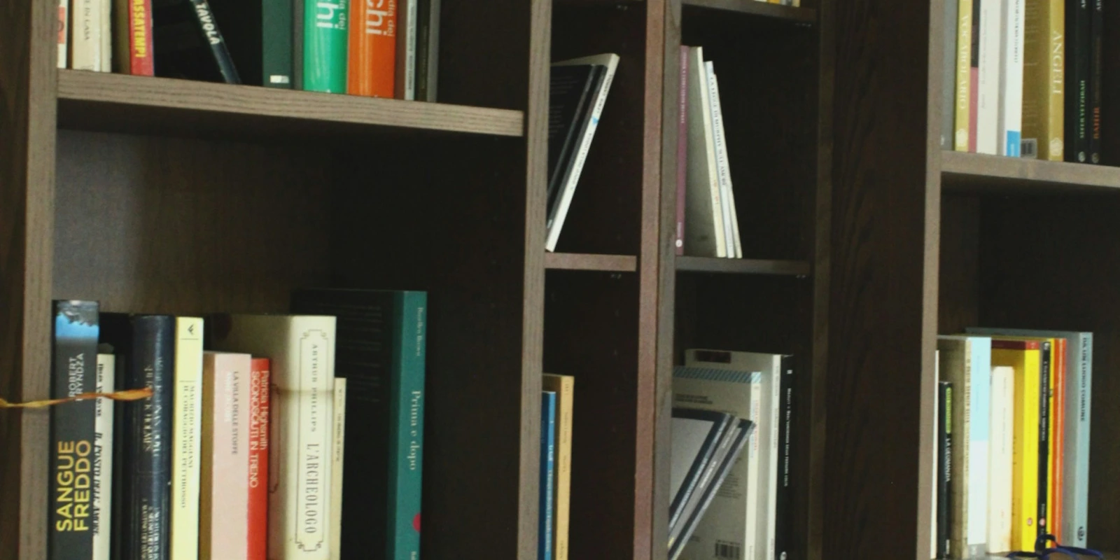 Top 5 des Universités en Licence HAA (Histoire de l'Art et Archéologie)